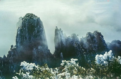 天人影像專(zhuān)訪 劉學(xué)玉 老驥伏櫪,志在千里,為地方攝影事業(yè)發(fā)揮余熱