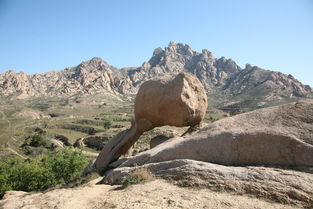 老驥伏櫪,請(qǐng)看看還行嗎